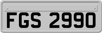 FGS2990