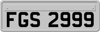 FGS2999