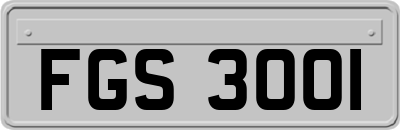 FGS3001
