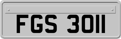 FGS3011