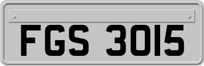 FGS3015