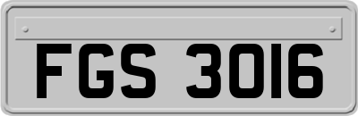 FGS3016