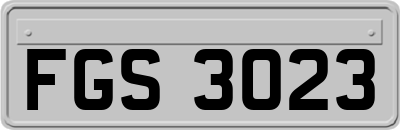 FGS3023
