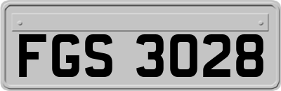FGS3028