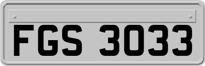 FGS3033