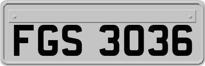 FGS3036