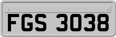FGS3038