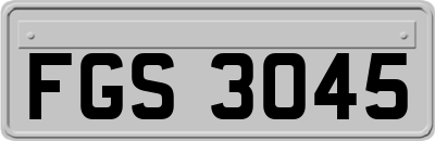 FGS3045