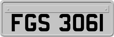 FGS3061