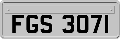 FGS3071