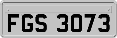 FGS3073