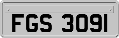 FGS3091
