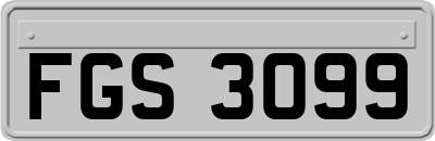 FGS3099