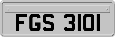 FGS3101