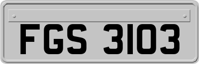 FGS3103