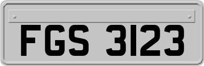 FGS3123