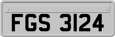 FGS3124