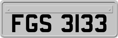 FGS3133