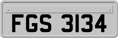 FGS3134