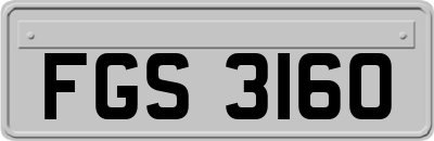 FGS3160