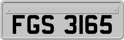 FGS3165