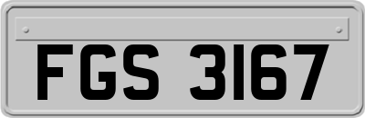 FGS3167