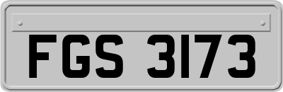 FGS3173