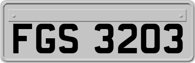 FGS3203