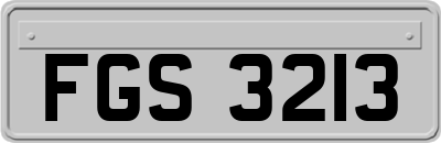 FGS3213