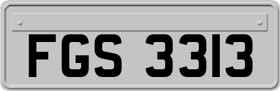 FGS3313