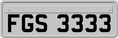 FGS3333