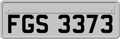 FGS3373