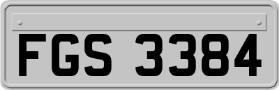 FGS3384
