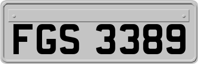 FGS3389