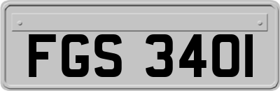 FGS3401