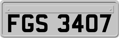 FGS3407