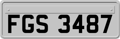 FGS3487