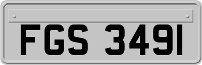 FGS3491