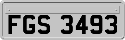 FGS3493