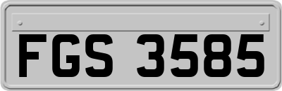 FGS3585