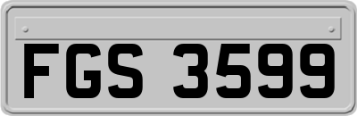 FGS3599