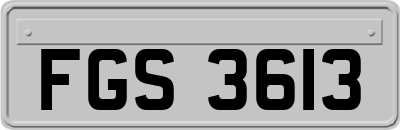 FGS3613