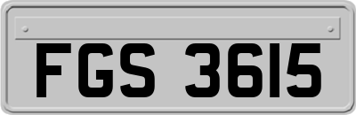 FGS3615