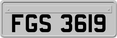 FGS3619