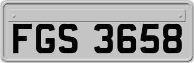 FGS3658