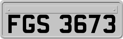 FGS3673