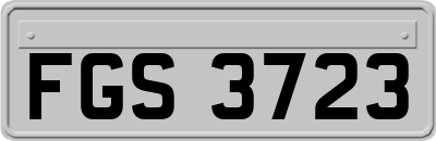 FGS3723