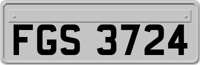 FGS3724
