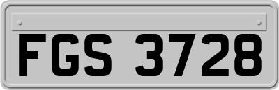 FGS3728