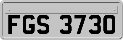 FGS3730